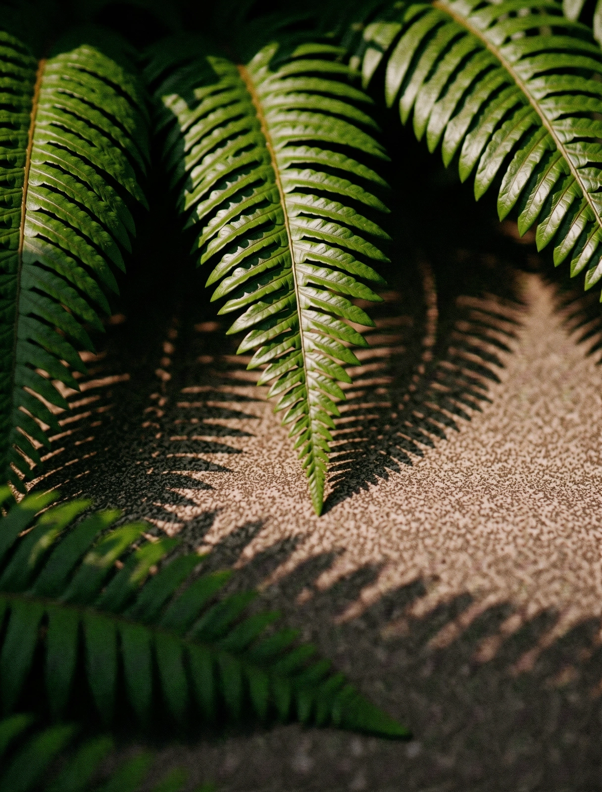 Tropical botanical study
