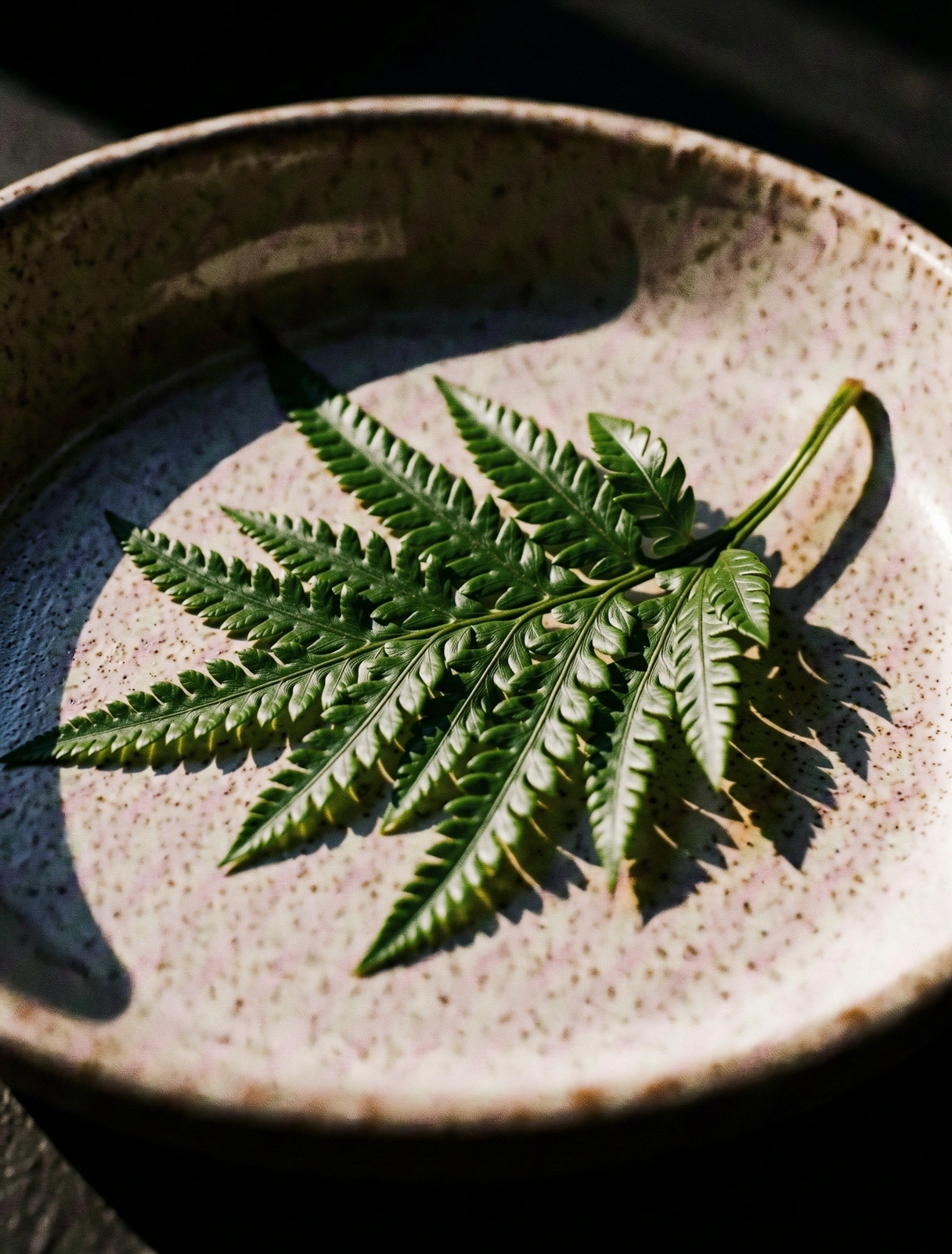 Detailed botanical specimen under morning light